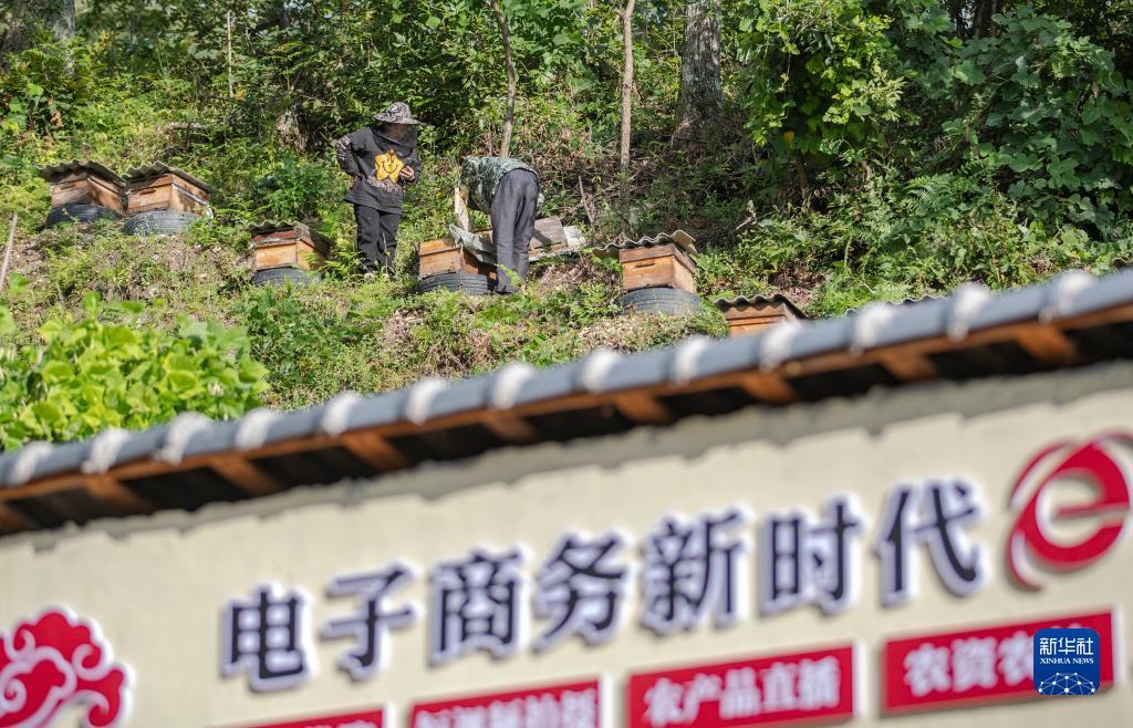 永利安全导航